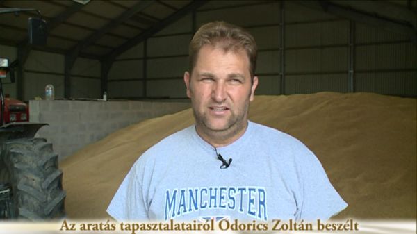 Az aratás tapasztalatairól Odorics Zoltán beszélt
